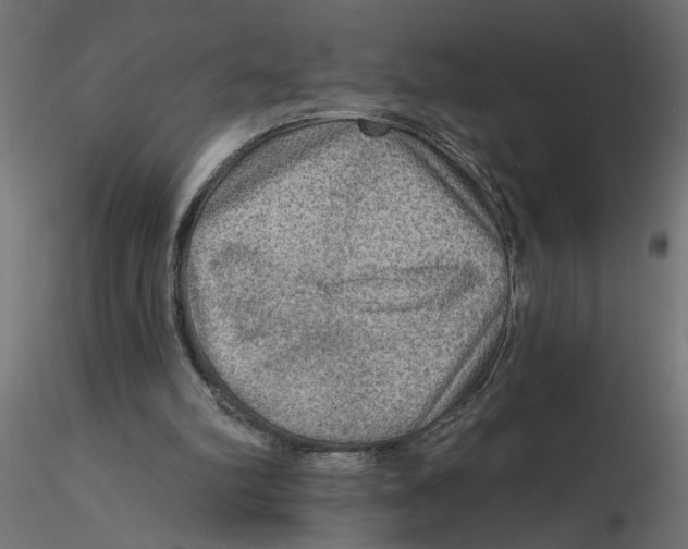 X0000116550102200912311920