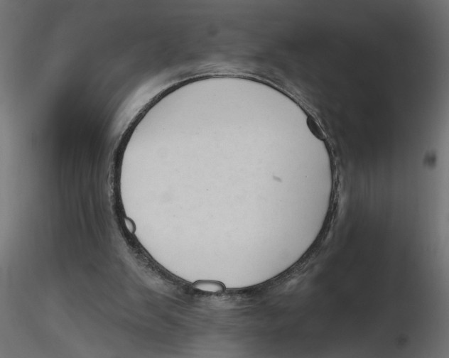 X0000116550103200912311920