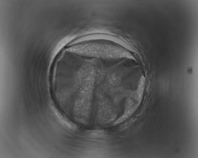 X0000116550104200912311920