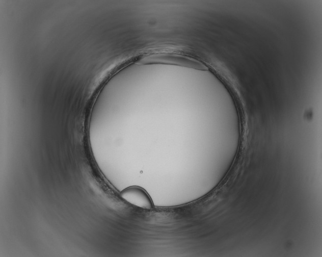 X0000116550107200912311920