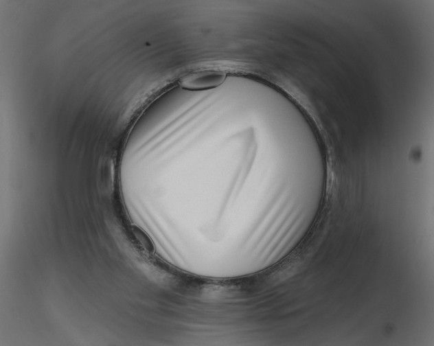 X0000116550109200912311920