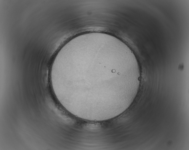 X0000116550110200912311920