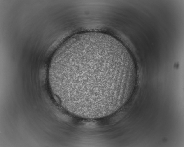 X0000116550113200912311920