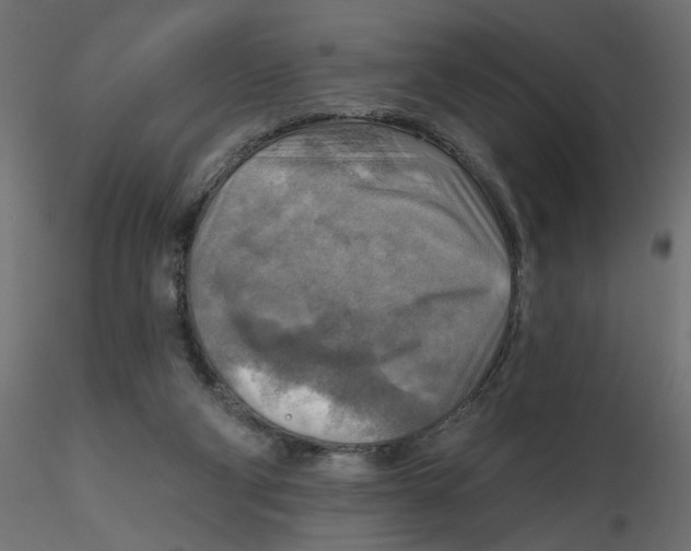 X0000116550114200912311920