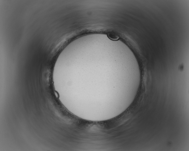 X0000116550115200912311920