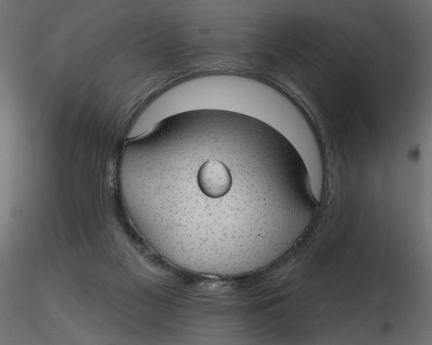 X0000116550117200912311920