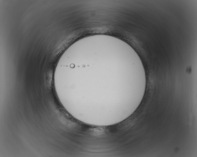 X0000116550118200912311920