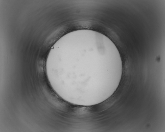 X0000116550122200912311920