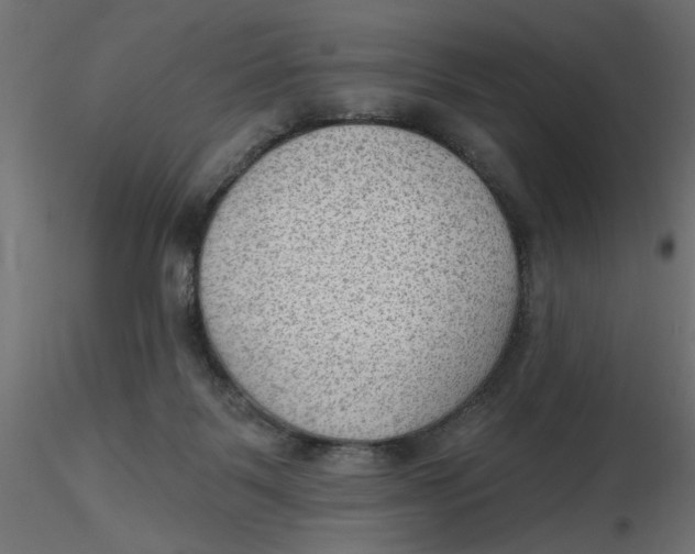 X0000116550123200912311920