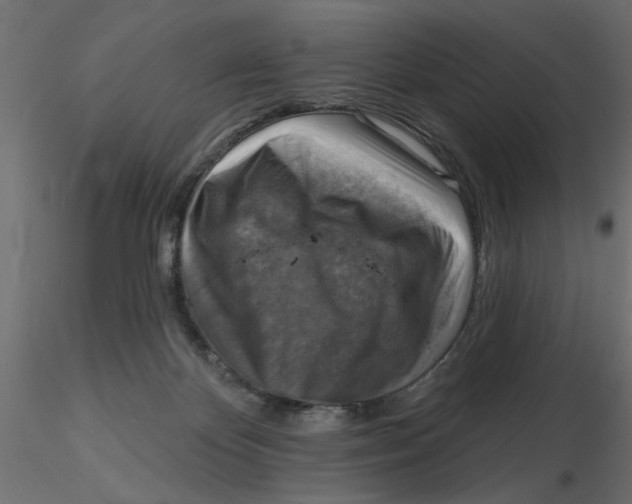 X0000116550124200912311919