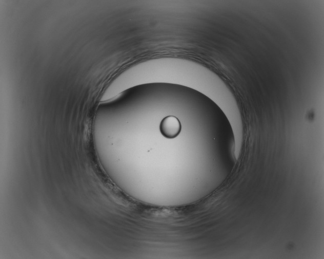 X0000116550125200912311919