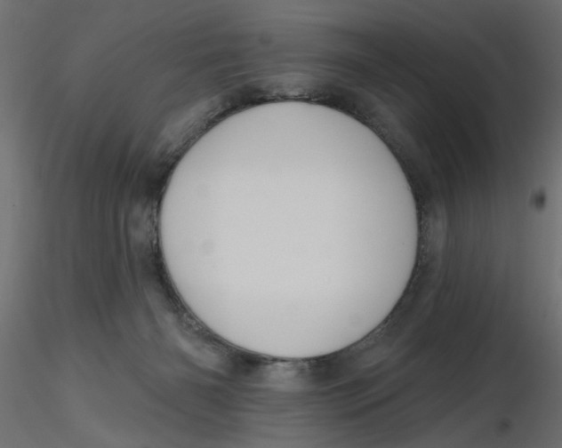 X0000116550126200912311919