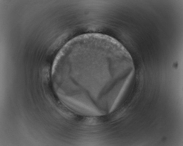 X0000116550127200912311919