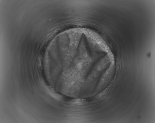 X0000116550128200912311919