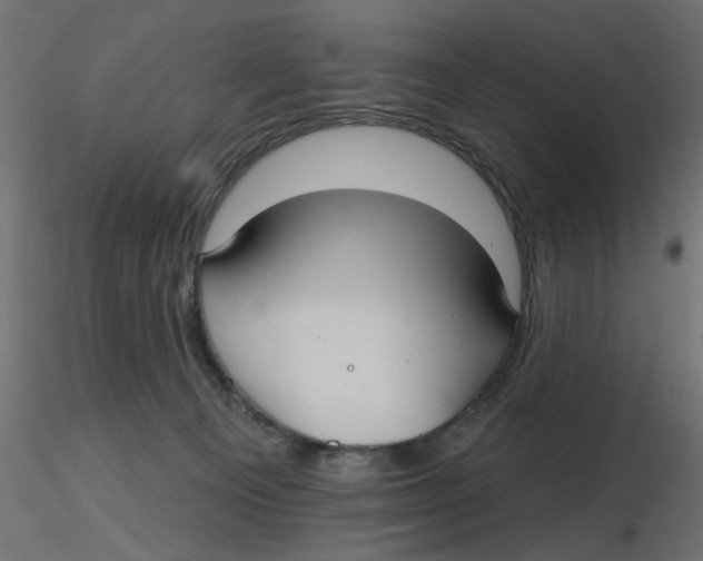 X0000116550129200912311919