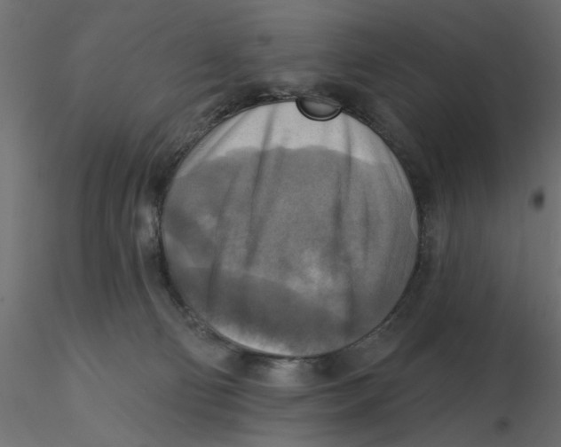 X0000116550130200912311919