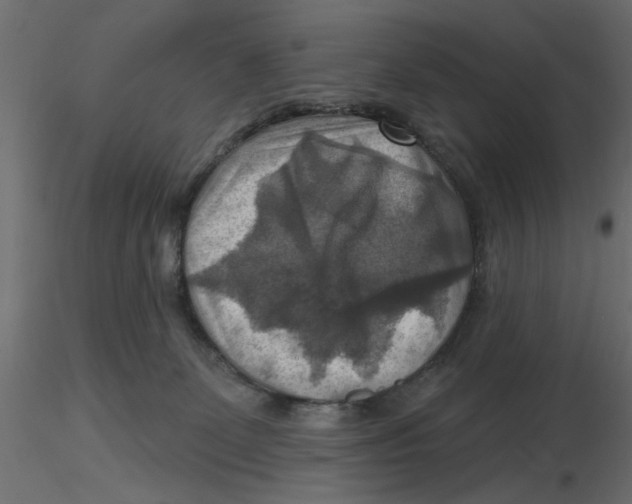 X0000116550131200912311919