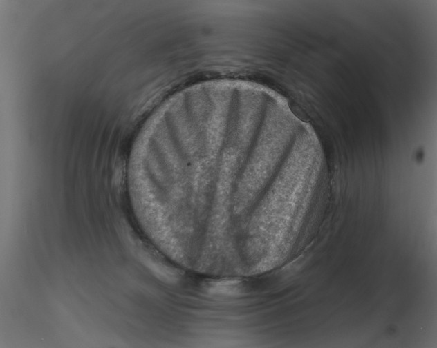 X0000116550132200912311919