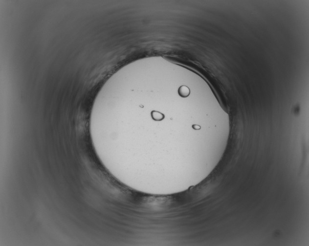 X0000116550135200912311919