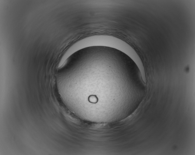 X0000116550136200912311919