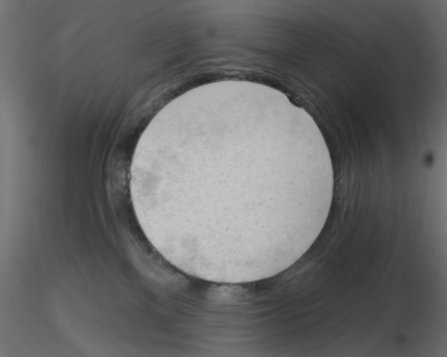 X0000116550137200912311919