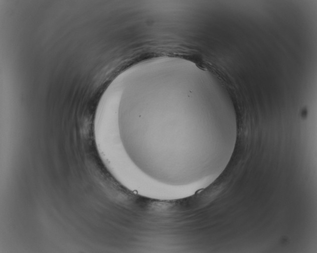 X0000116550139200912311919