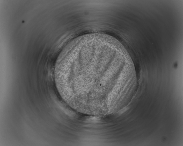 X0000116550140200912311919