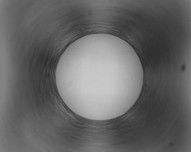 X0000116550141200912311919