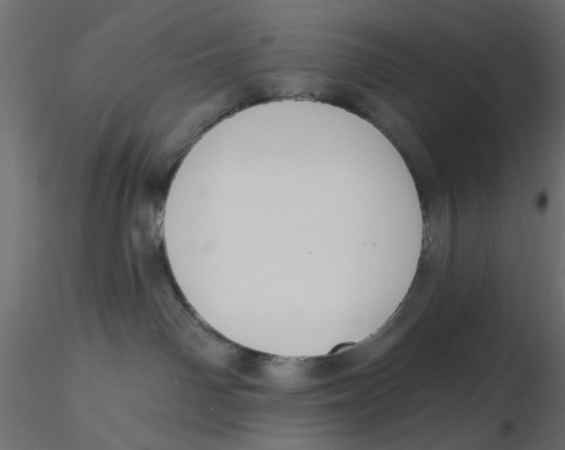 X0000116550142200912311919