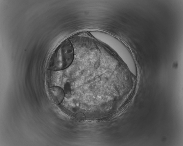 X0000116550145200912311919