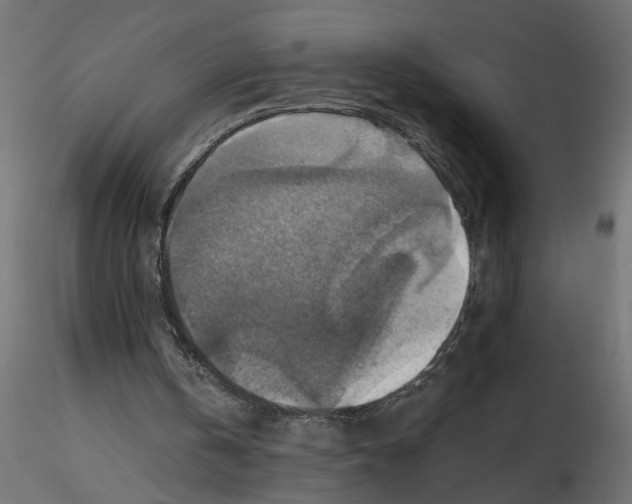 X0000116550146200912311919