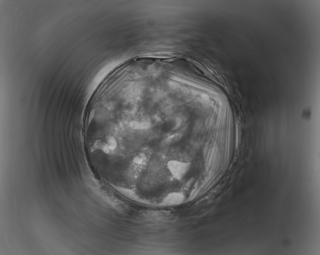 X0000116550147200912311919