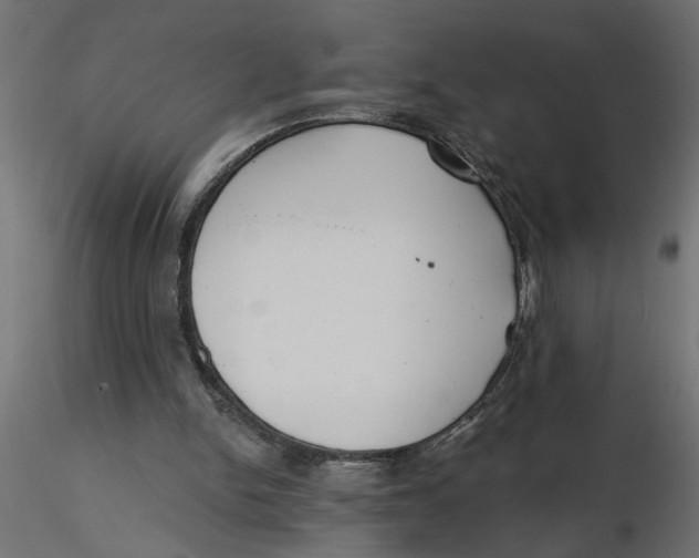 X0000116550150200912311919