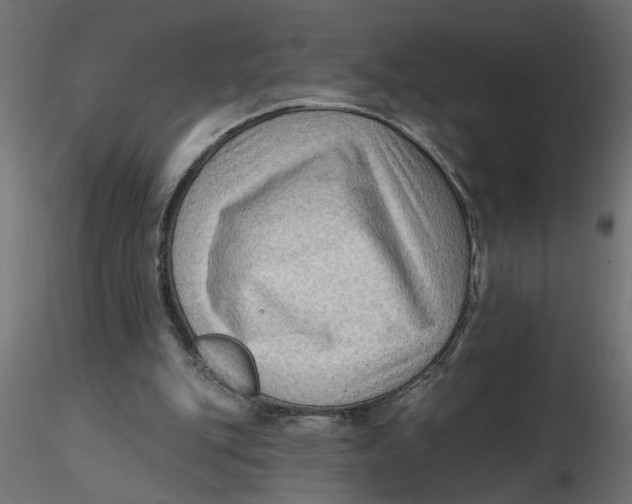 X0000116550151200912311919