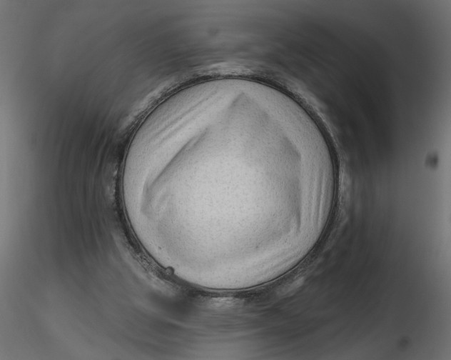 X0000116550153200912311919