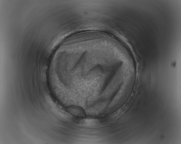 X0000116550154200912311919