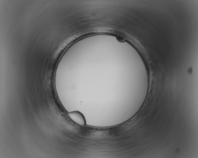 X0000116550155200912311919