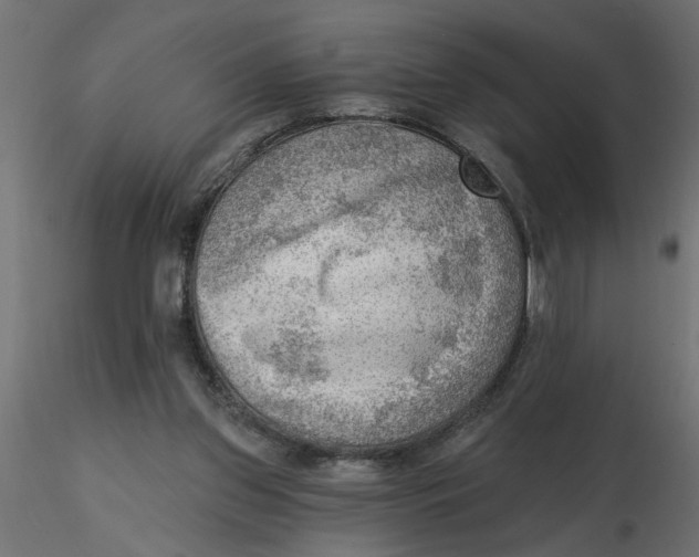 X0000116550157200912311919