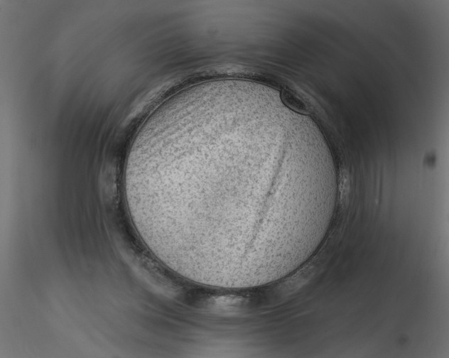 X0000116550158200912311919