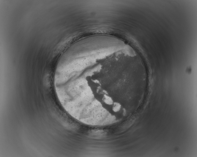 X0000116550161200912311919