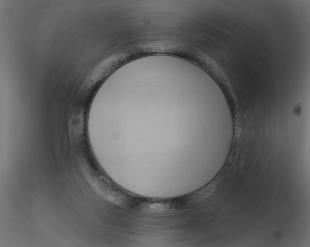 X0000116550163200912311919