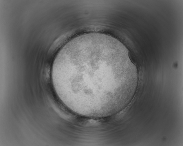 X0000116550166200912311919