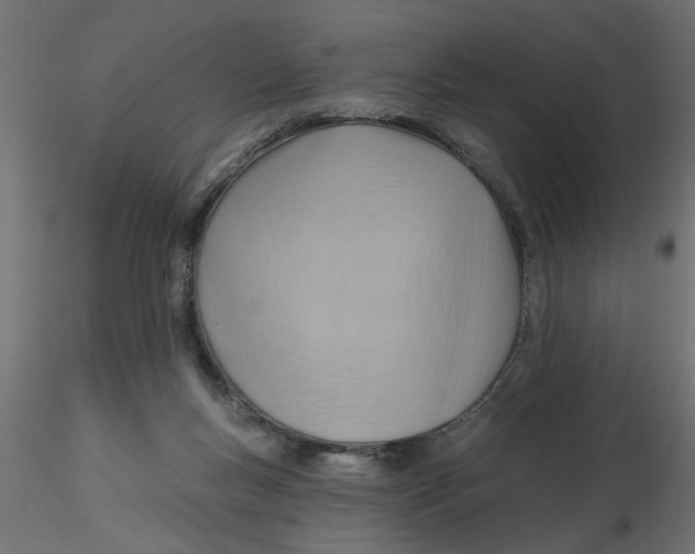 X0000116550167200912311919