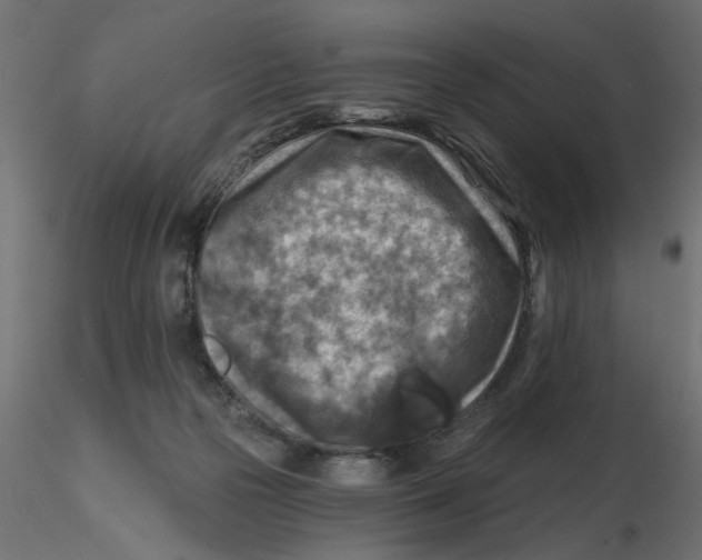 X0000116550169200912311919