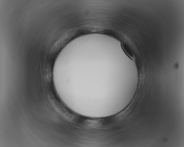 X0000116550170200912311919