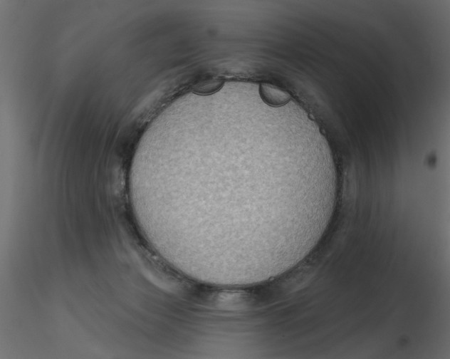 X0000116550173200912311919