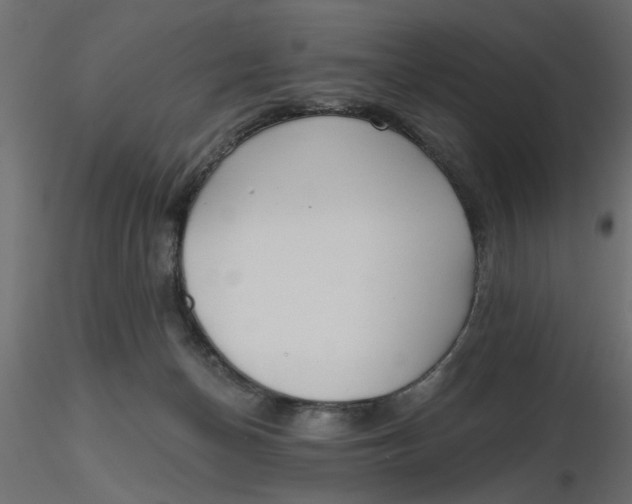 X0000116550174200912311919