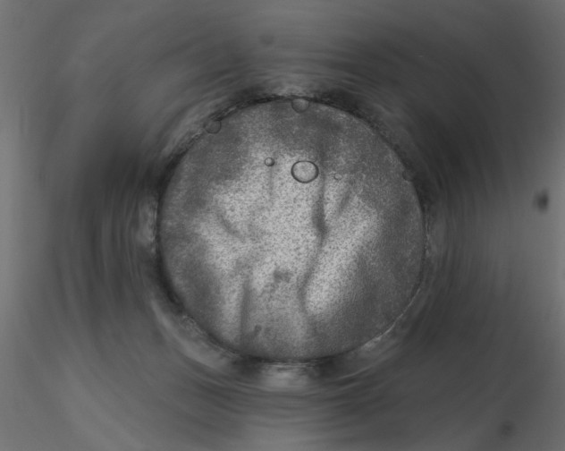 X0000116550175200912311919