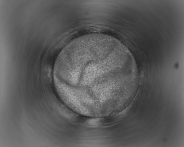 X0000116550178200912311919