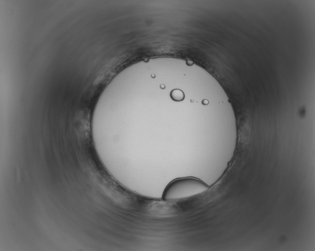 X0000116550179200912311919